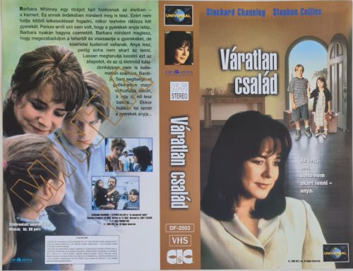 Váratlan család című film VHS borítója - Minta