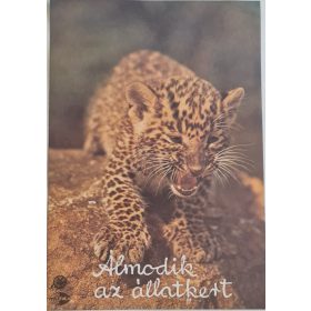 Álmodik az állatkert órarend, Mokép kiadása