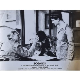 Bogáncs vitrinkép, filmfotó, Fejér Tamás, 1958