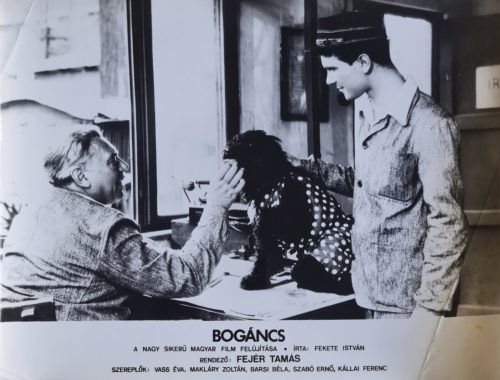 Bogáncs vitrinkép, filmfotó, Fejér Tamás, 1958