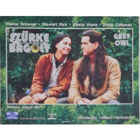 Szürke bagoly vitrinkép, filmfotó, 1999