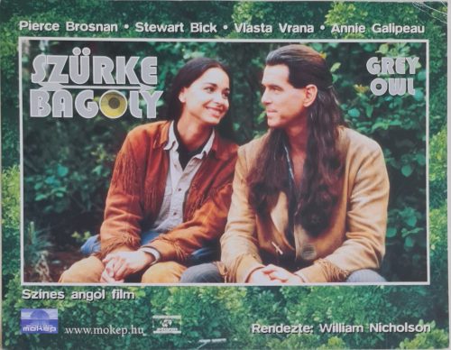 Szürke bagoly vitrinkép, filmfotó, 1999