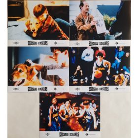   Szájkosaras kosaras, 5 db vitrinkép, filmfotó egyben, 1997