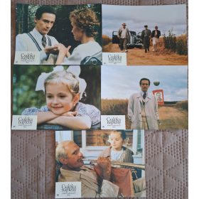 Csalóka napfény, 5 db vitrinkép, filmfotó egyben, 1994