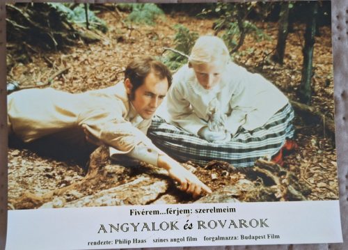 Angyalok és rovarok, 1 db vitrinkép, filmfotó egyben, 1995 (Mark Lyrance)