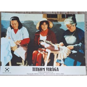   Titkom Virága, 1 db vitrinkép, filmfotó egyben, 1995 (II.)