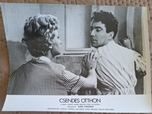 Csendes Otthon, 1 db vitrinkép, filmfotó (felújítás) 1965