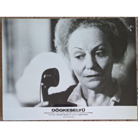 Dögkeselyű, vitrinkép, filmfotó 1982