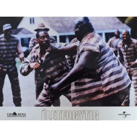 Életfogytig vitrinkép, filmfotó, 1999