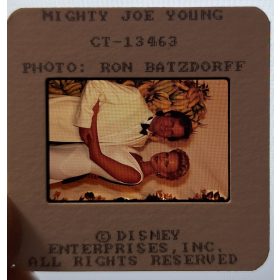   Joe, az óriásgorilla (Mighty Joe Young) 35 mm-es filmkocka, Fotónegatív 1998