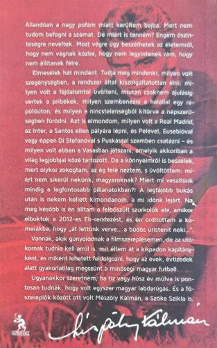 Mészöly Kálmán - Sinkovics Gábor, Mészöly Kálmán (2014)