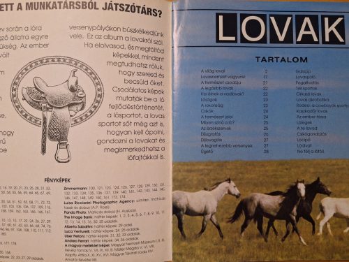 Lovak PANINI beragasztós matricás album 