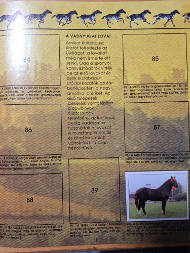 Lovak PANINI beragasztós matricás album 