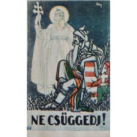   Ne csüggedj, Magyarország Területi Épségének Védelmi Ligája, Irredenta képeslap