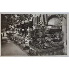   Budapest, VIII. József Körút 87, Valéria kávéház terasz képeslap