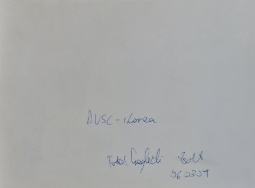 DVSC - Dél-Korea klubcsapat női kézilabda mérkőzés sajtófotó, 1996