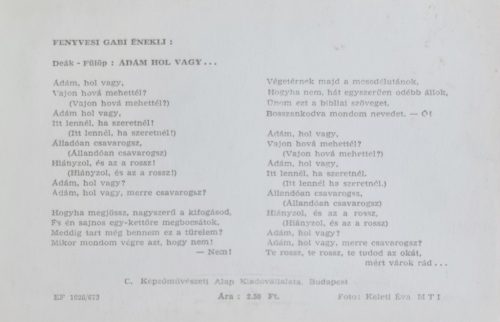 Fenyvesi Gabi fotója a Táncdalfesztiválon 