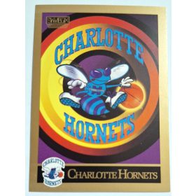 Charlotte Hornets NBA SkyBox 1990 LOGÓ Kosárlabdakártya