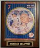 Sports Impressions : MLB Superstar Mickey Mantle New York Yankees falidísz, plakett, sorszámozott 1994