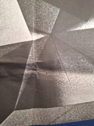 Alkotó Ifjúság Országos Kiállítás (BNV) 1976 propaganda plakát