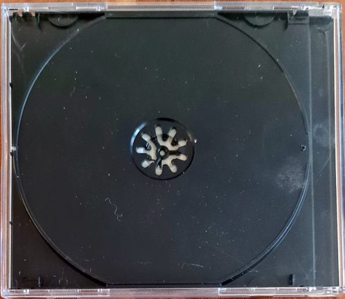Destiny's Child, Destiny's Child zenei CD (1998) 