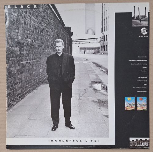 Black Wonderful Life (Gong) zenei LP lemez 1988